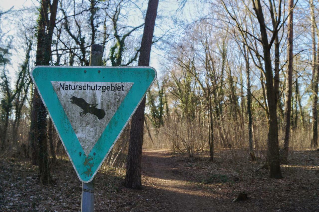 "Gemuetlich" 1-Zimmer Apartment Nah Am Wald Mainz Eksteriør billede